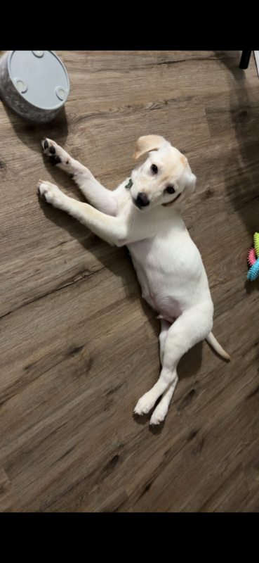 Oakley!