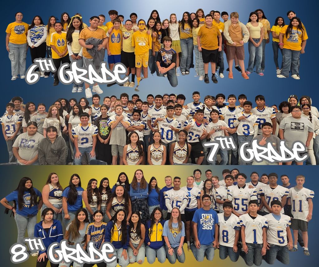 HOCO WEEK - MS COLOR WAR