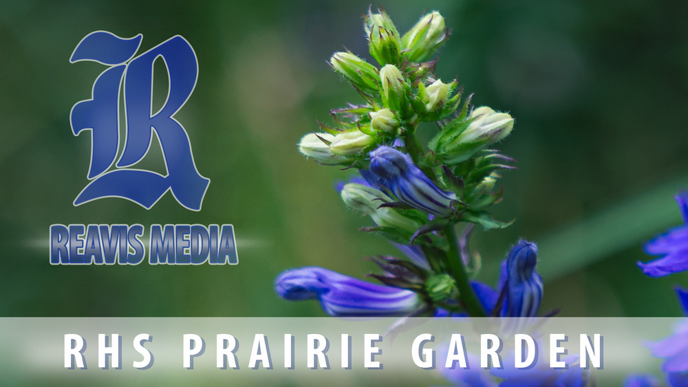 prairie garden