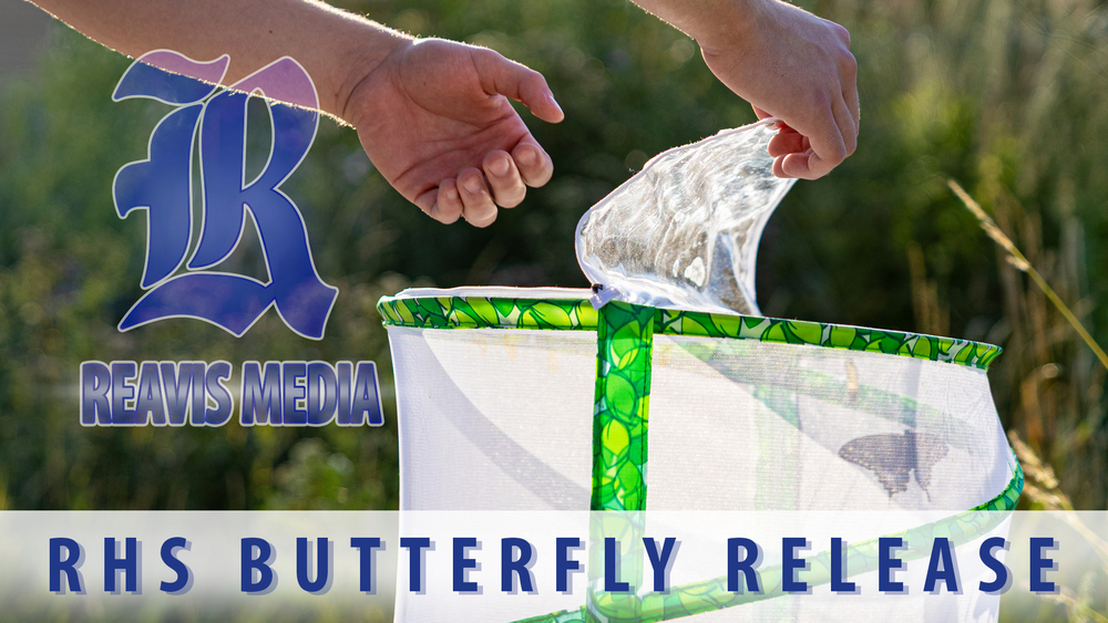 Butterfly Release