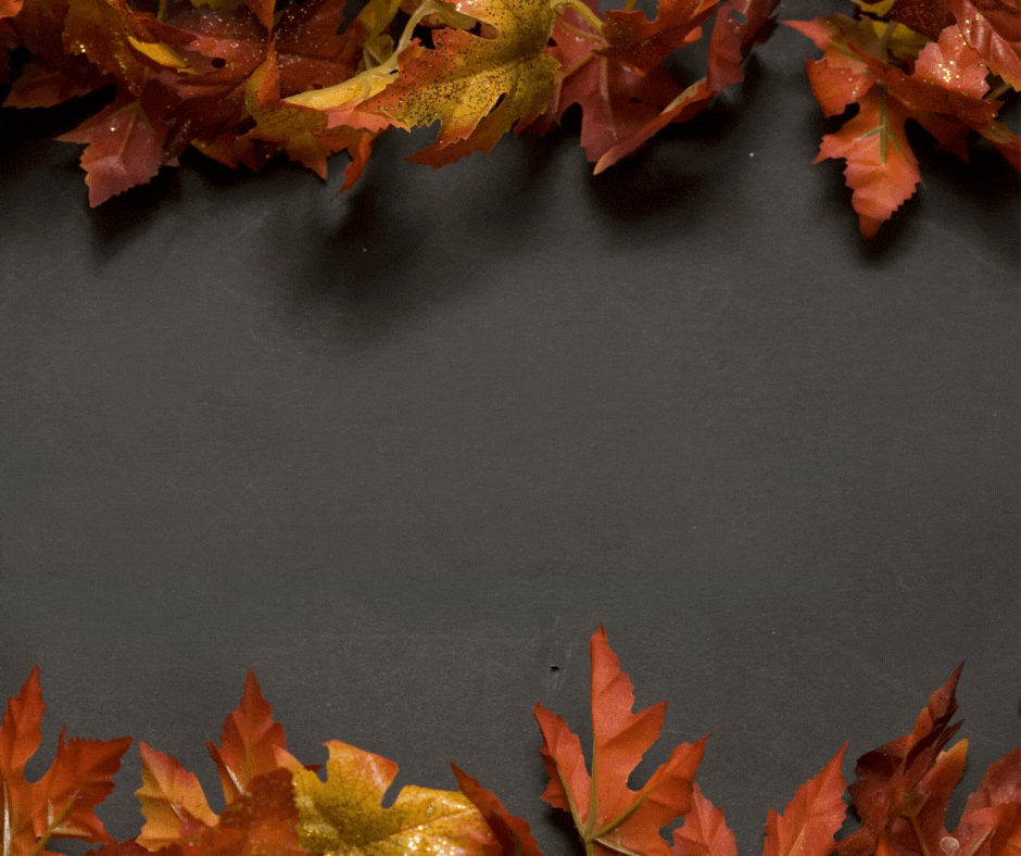 white gray modern happy thanksgiving Facebook post