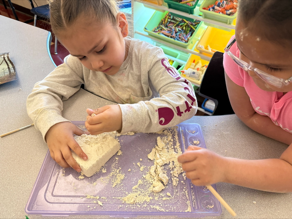 Ms. Nordstrom's class became paleontologists today. They learned about fossils, what dinosaurs eat, and what tools to use to dig up dinosaurs!"