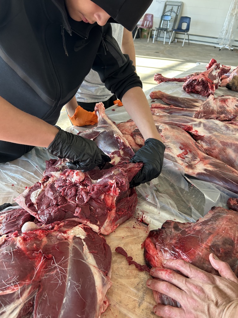 From field to feast! Students learned to process deer with Rob May, Ty Stately, and Daris Rosebear—then cooked and enjoyed their hard-earned meal.