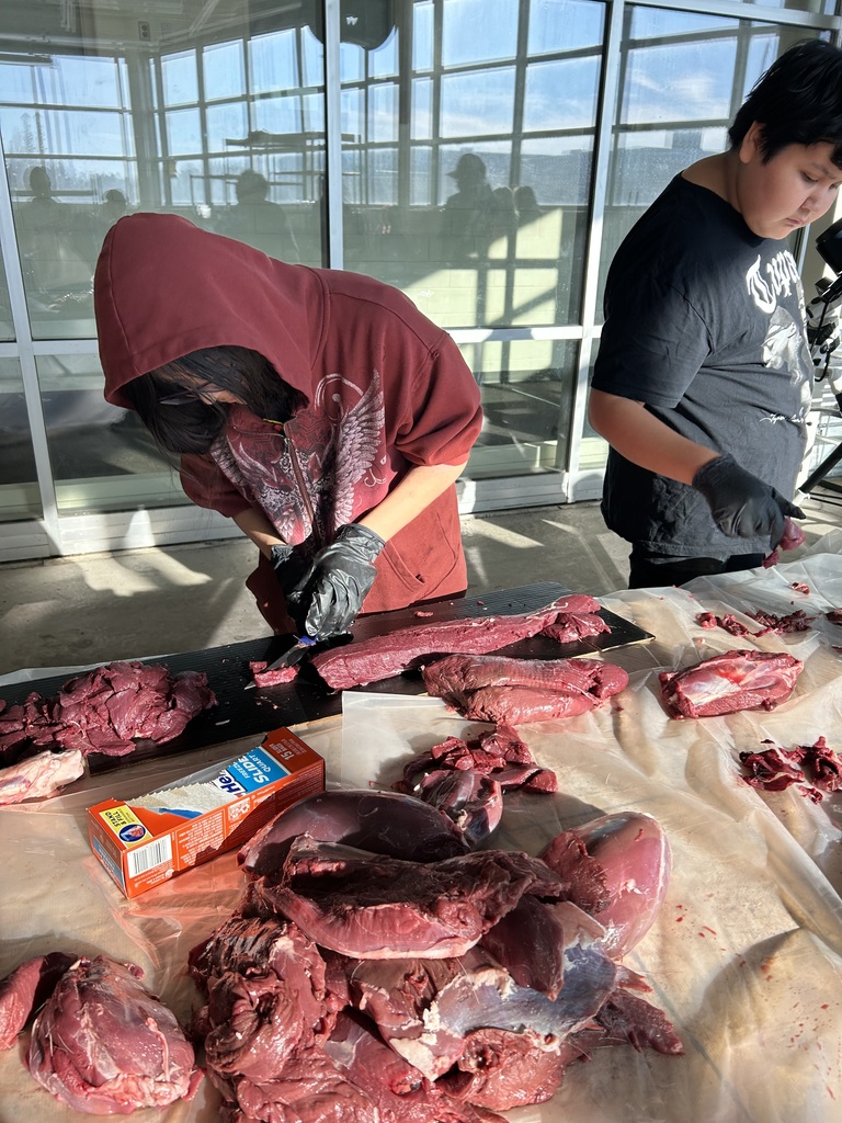 From field to feast! Students learned to process deer with Rob May, Ty Stately, and Daris Rosebear—then cooked and enjoyed their hard-earned meal.