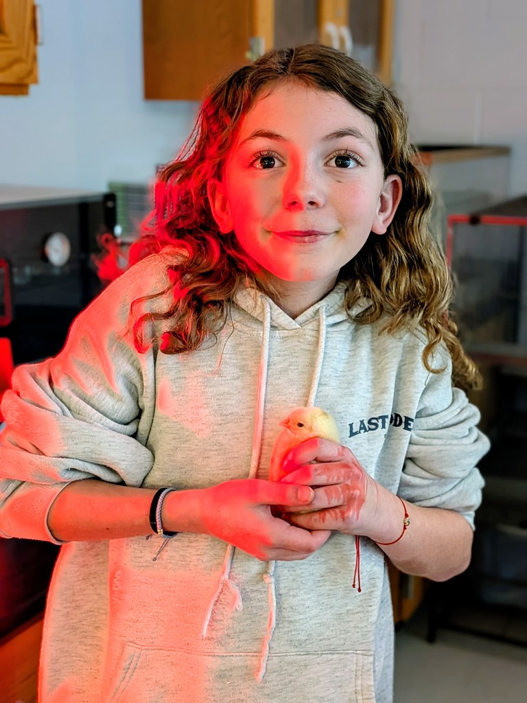 [Cariina File Upload]_697d18f80e1c281862c8c9b34807jpg