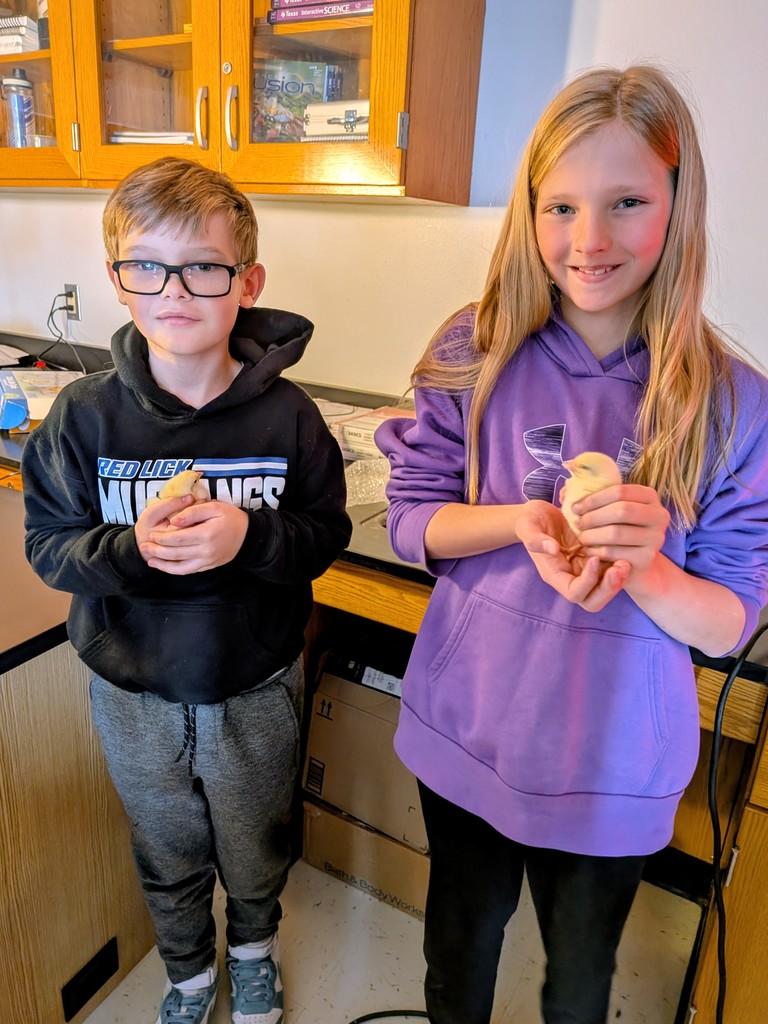 [Cariina File Upload]_697d18f80e1c281862c8c9b14806jpg