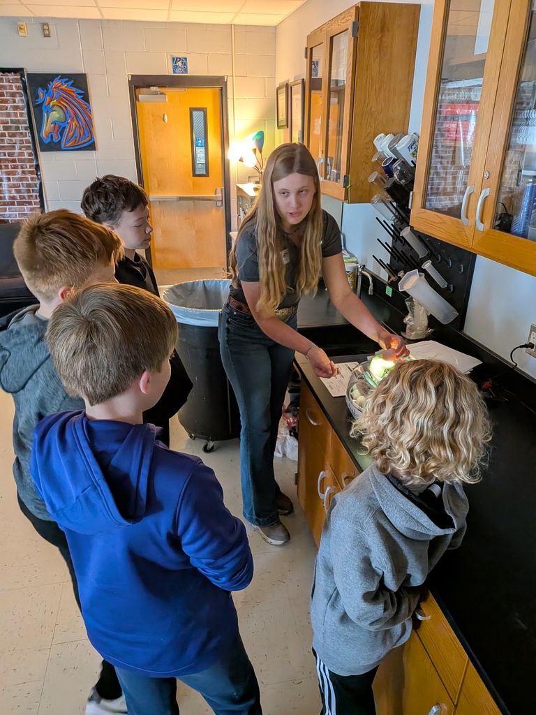 [Cariina File Upload]_697d18f80e1c281862c8c9b94564jpg