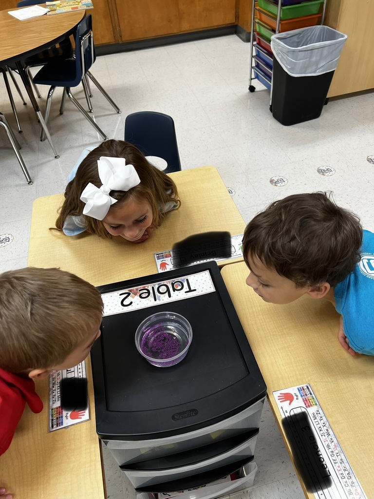 Kinder Germ lesson