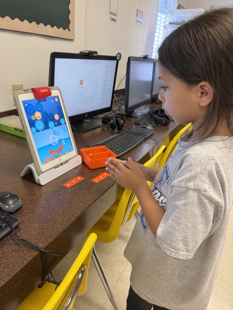 Using Technology for Math