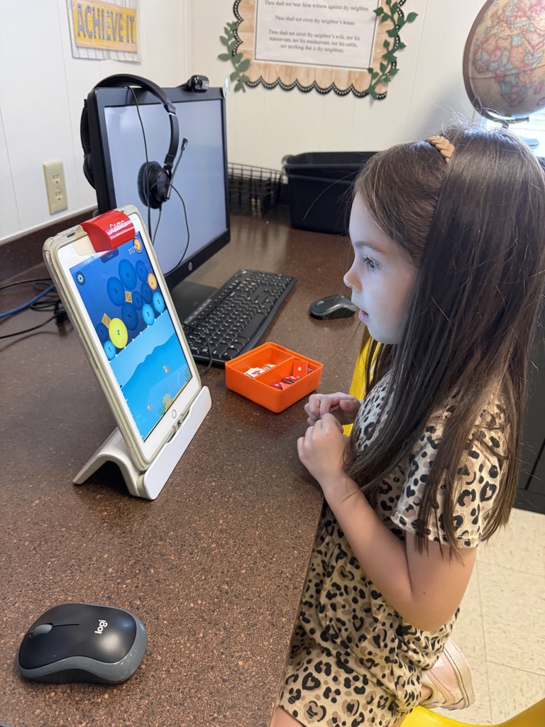Using Technology for Math