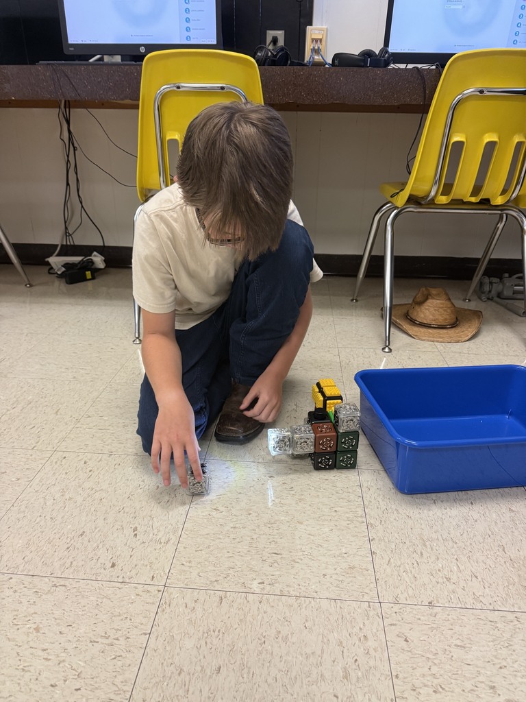 Third Grade Cublet Work