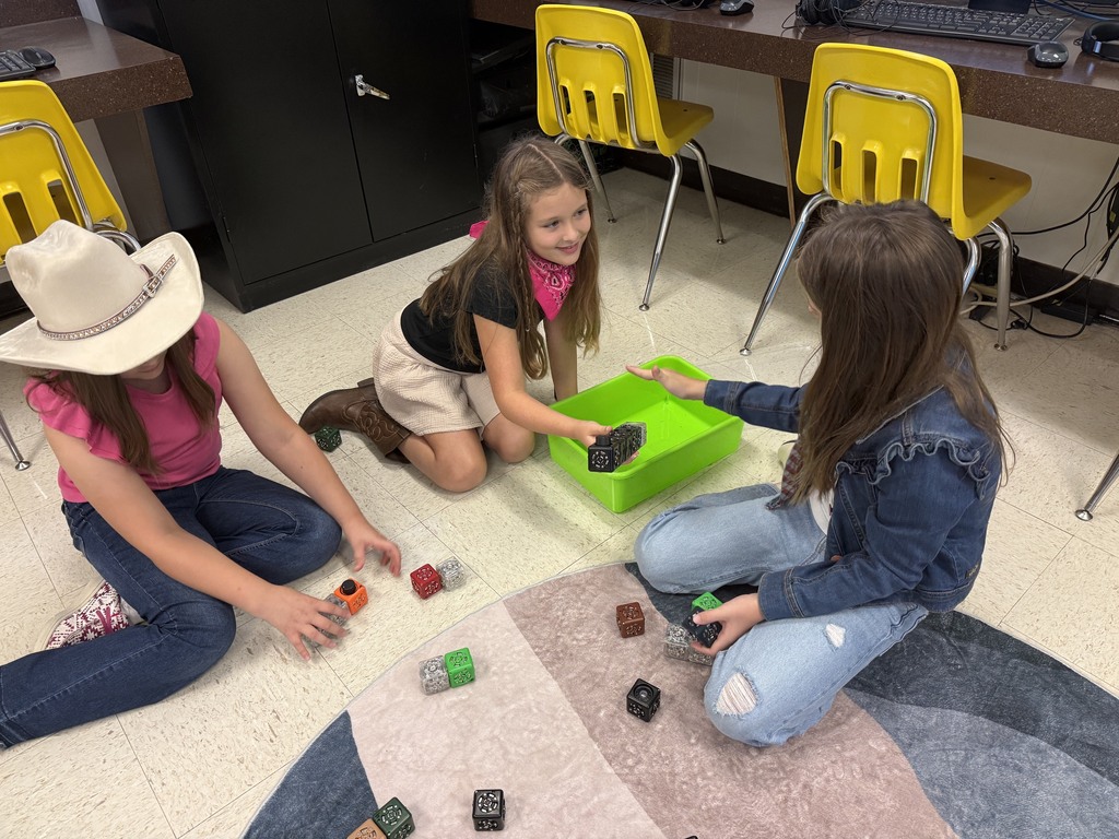 Third Grade Cublet Work