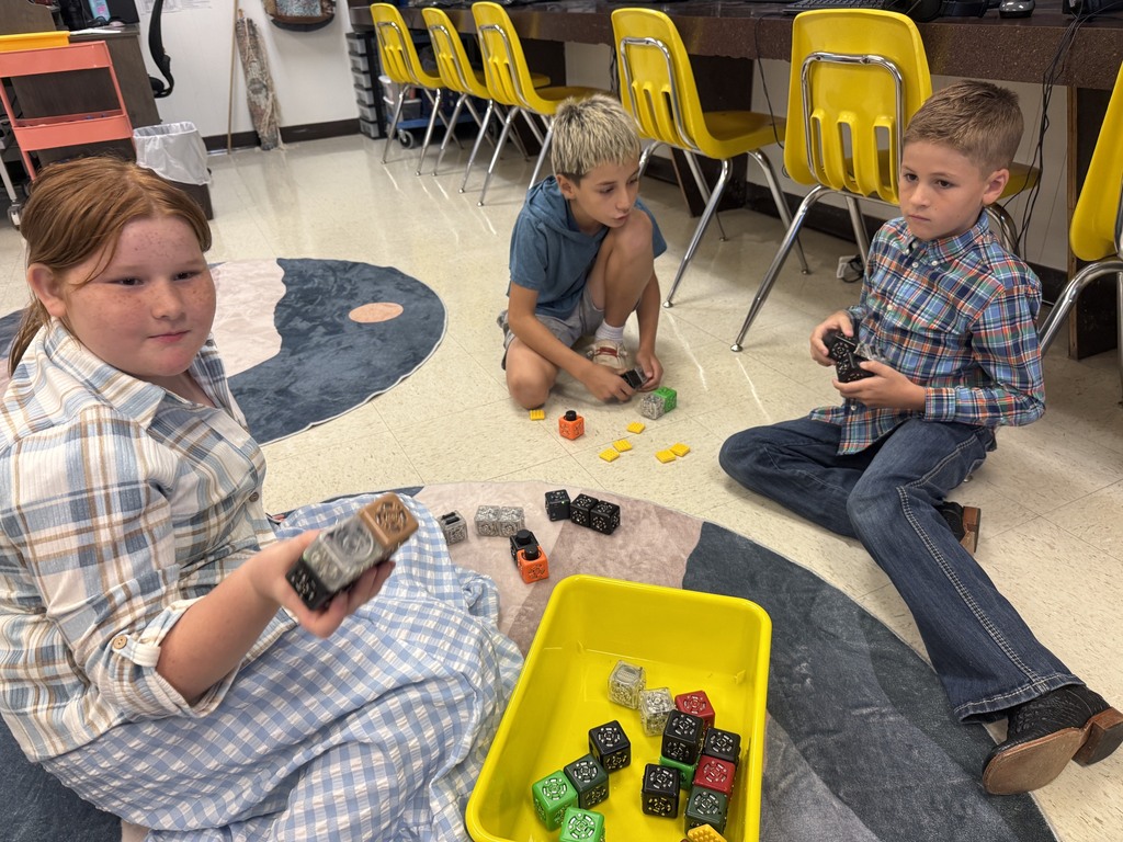 Third Grade Cublet Work