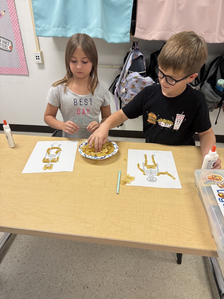 Human Body Unit 3rd Grade