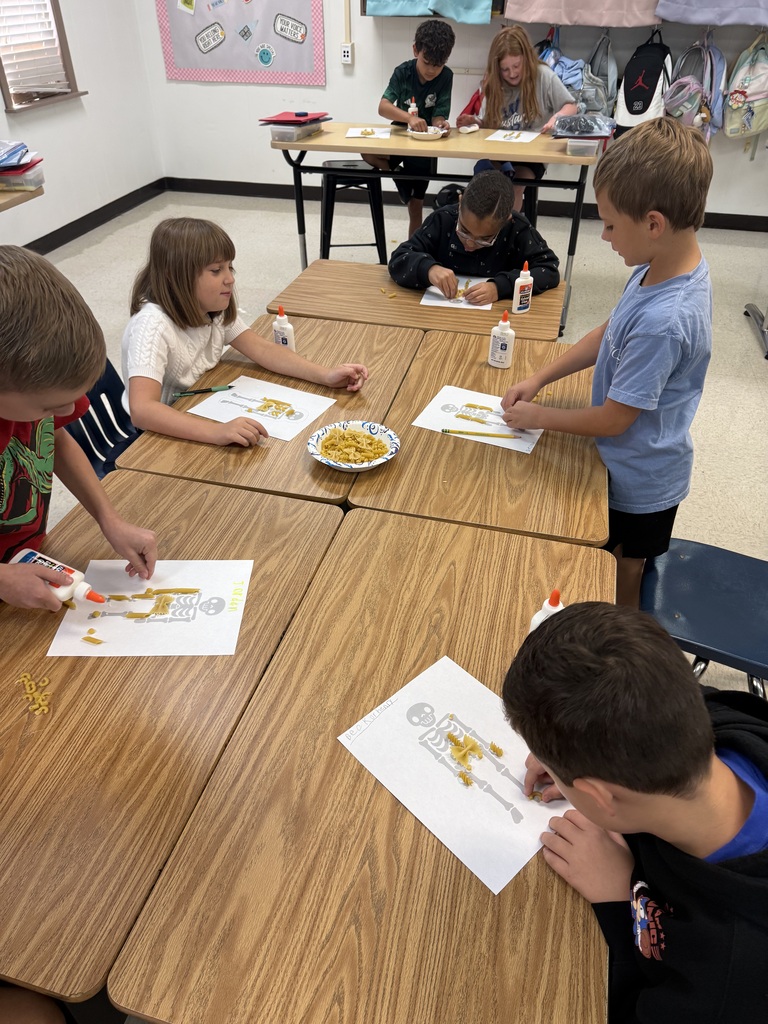 Human Body Unit 3rd Grade