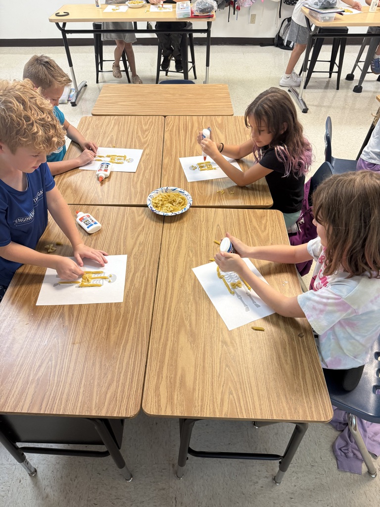 Human Body Unit 3rd Grade