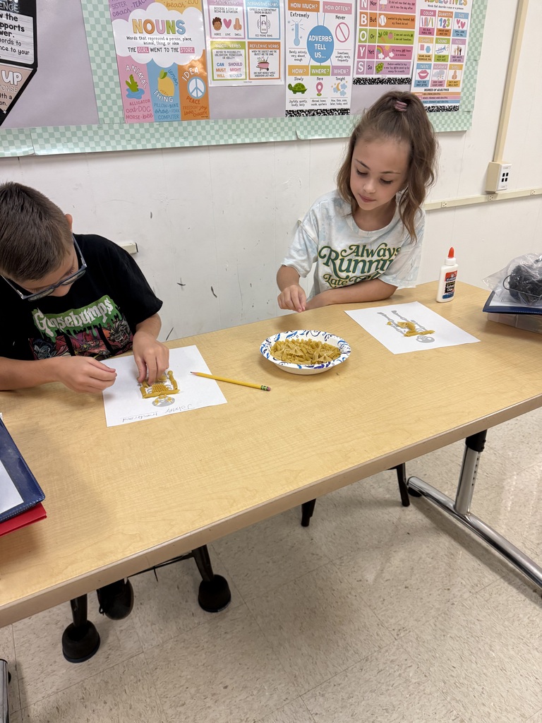 Human Body Unit 3rd Grade