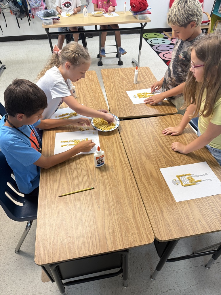 Human Body Unit 3rd Grade