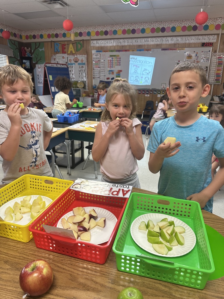 Apple Taste Testing in Kindergarten