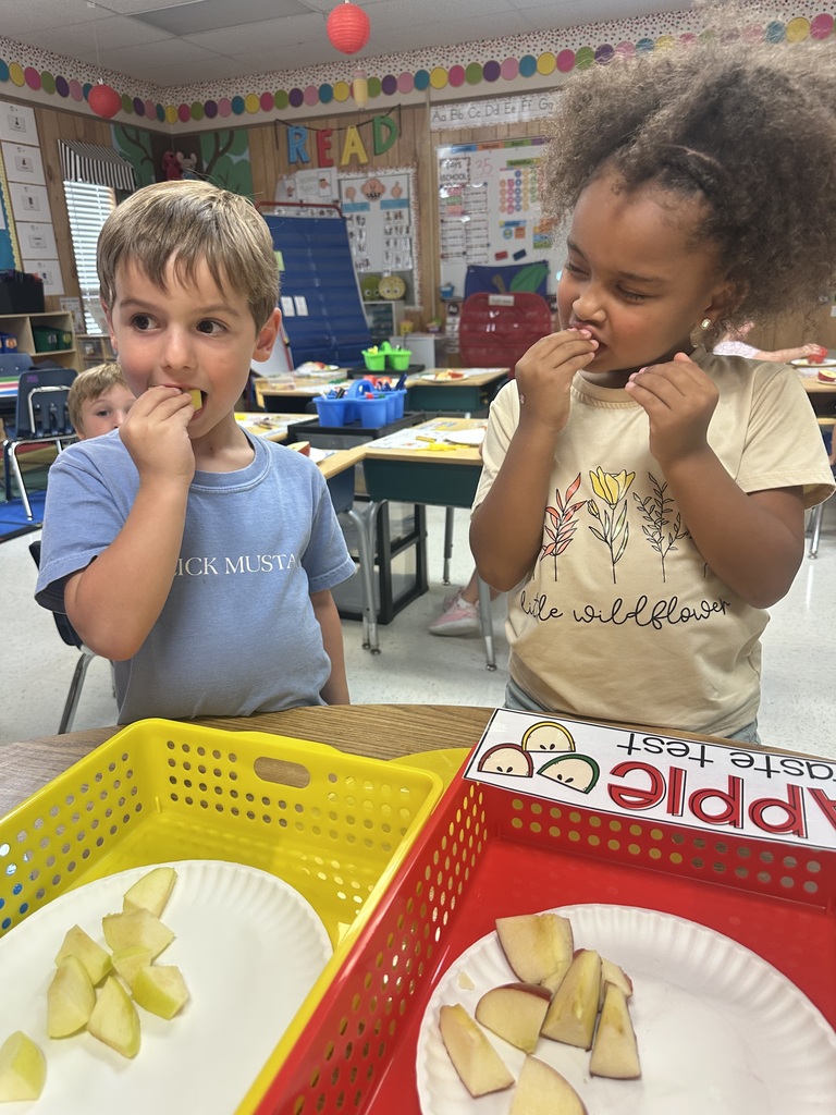 Apple Taste Testing in Kindergarten