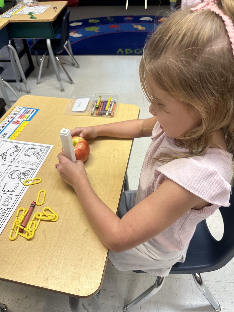 Apple Taste Testing in Kindergarten