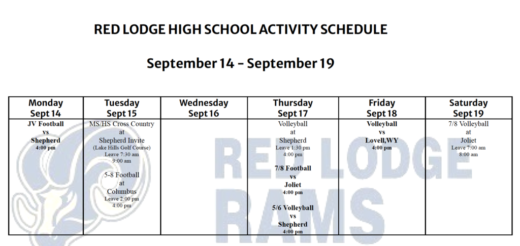 Week 4 Activity Schedule 