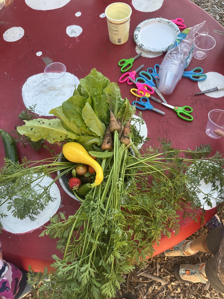 Harvest