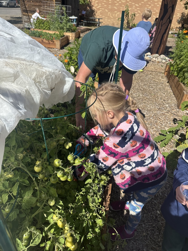 Picking Garden 2 