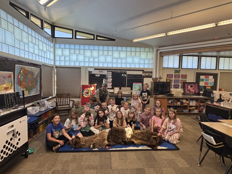 bear class