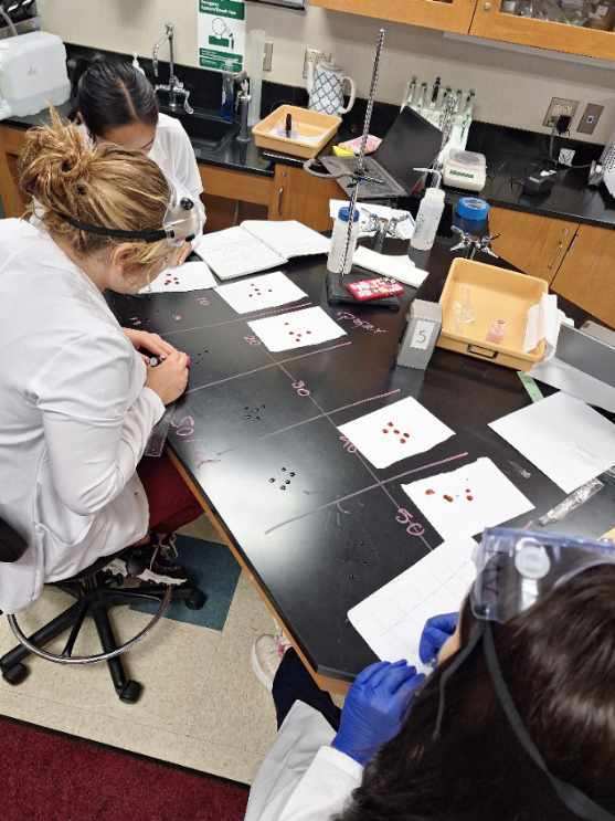 Forensic Techniques on Simulated Blood