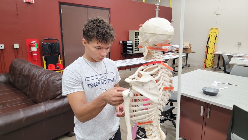 EMS-Bone Anatomy
