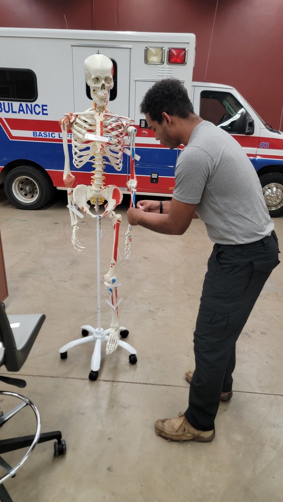 EMS-Bone Anatomy
