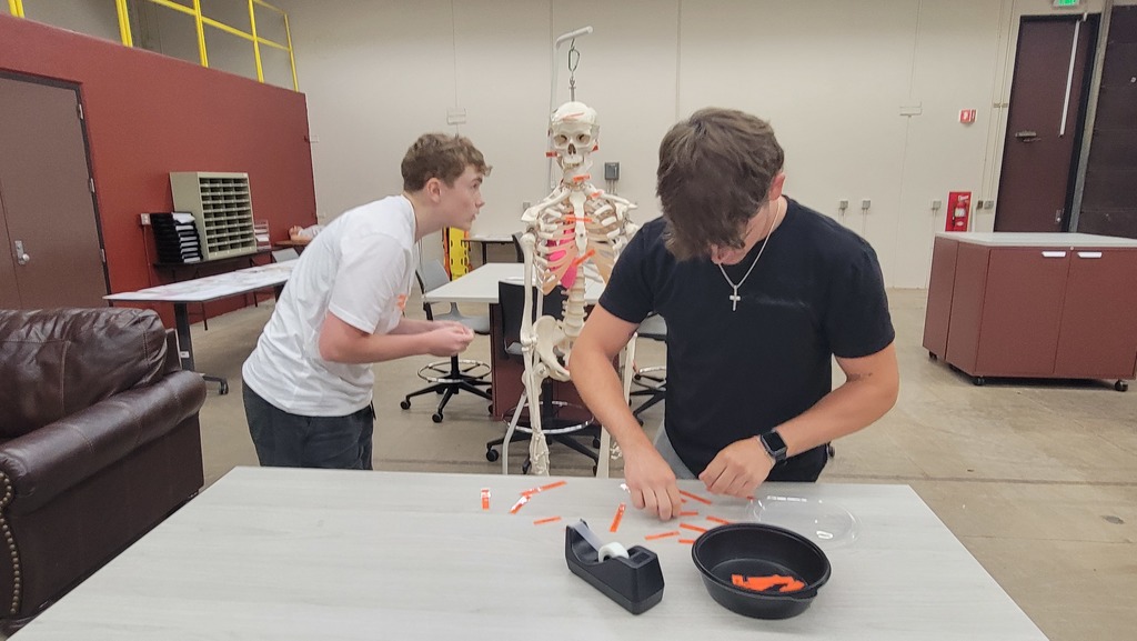 EMS-Bone Anatomy