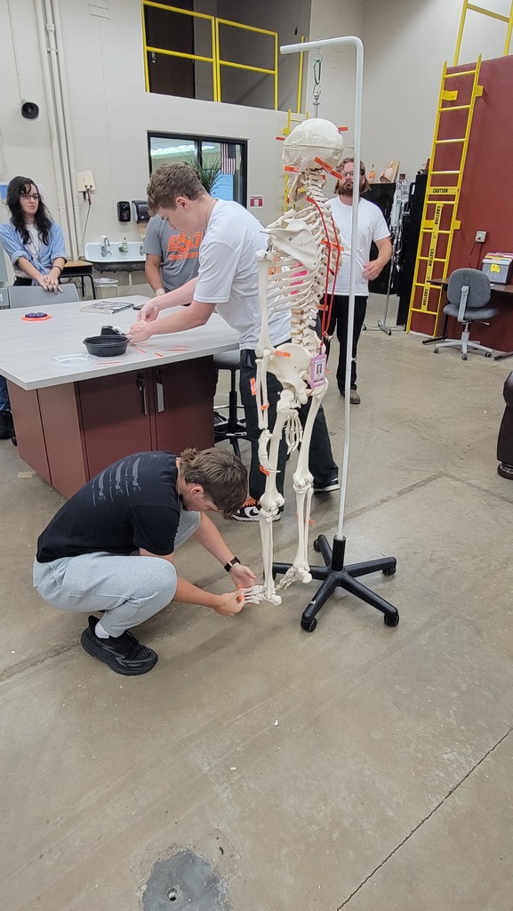 EMS-Bone Anatomy