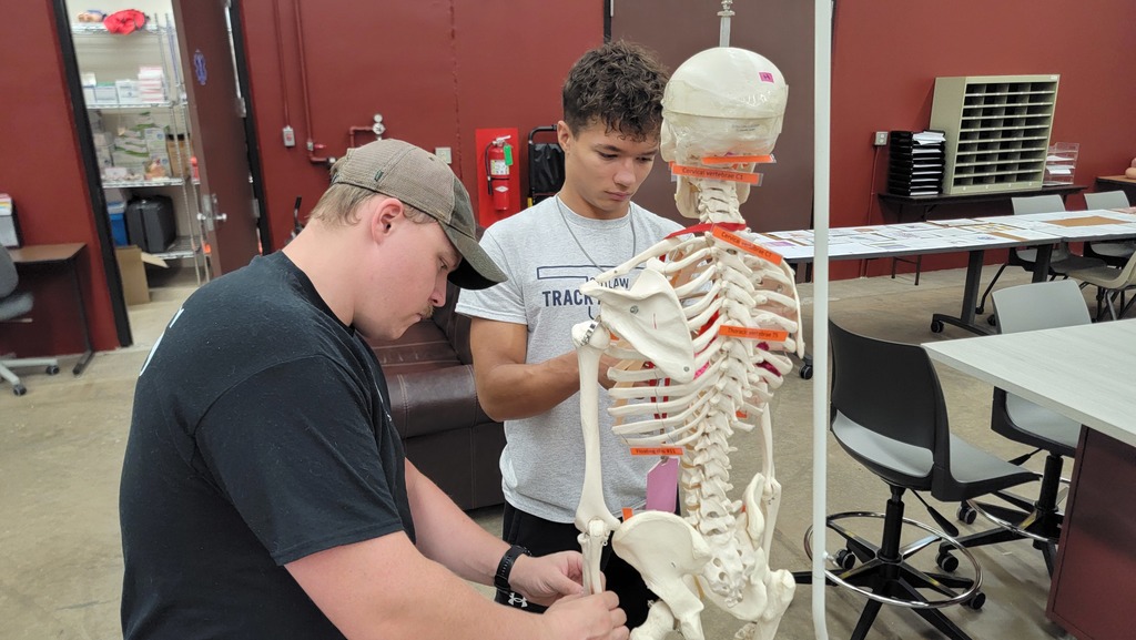 EMS-Bone Anatomy