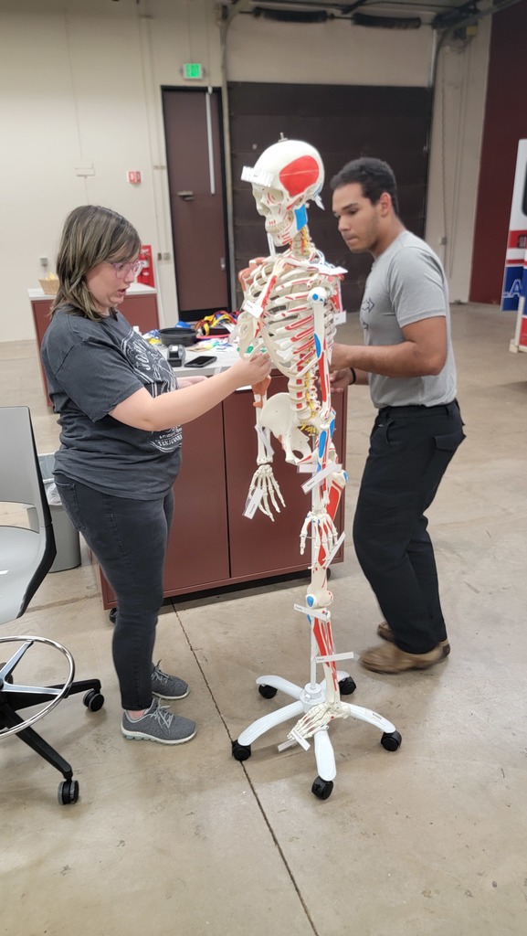 EMS-Bone Anatomy