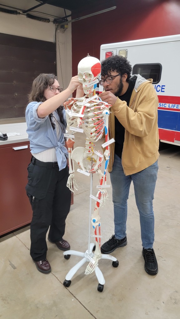 EMS-Bone Anatomy
