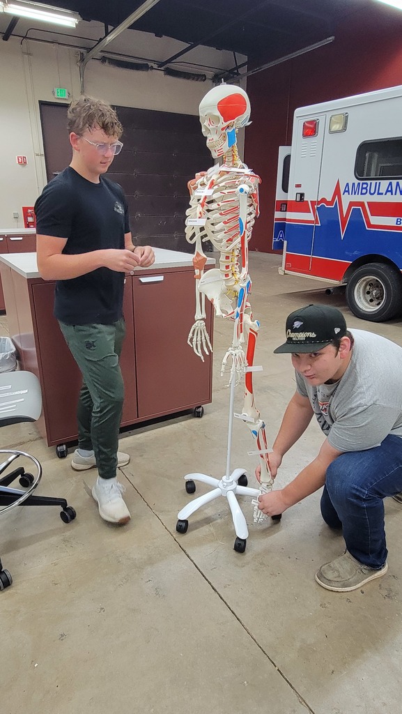 EMS-Bone Anatomy