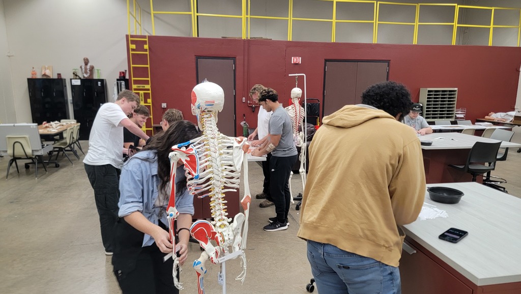 EMS-Bone Anatomy