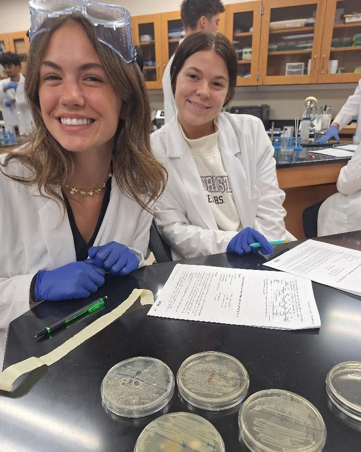 Biomed Seniors Super Bug Lab-AM