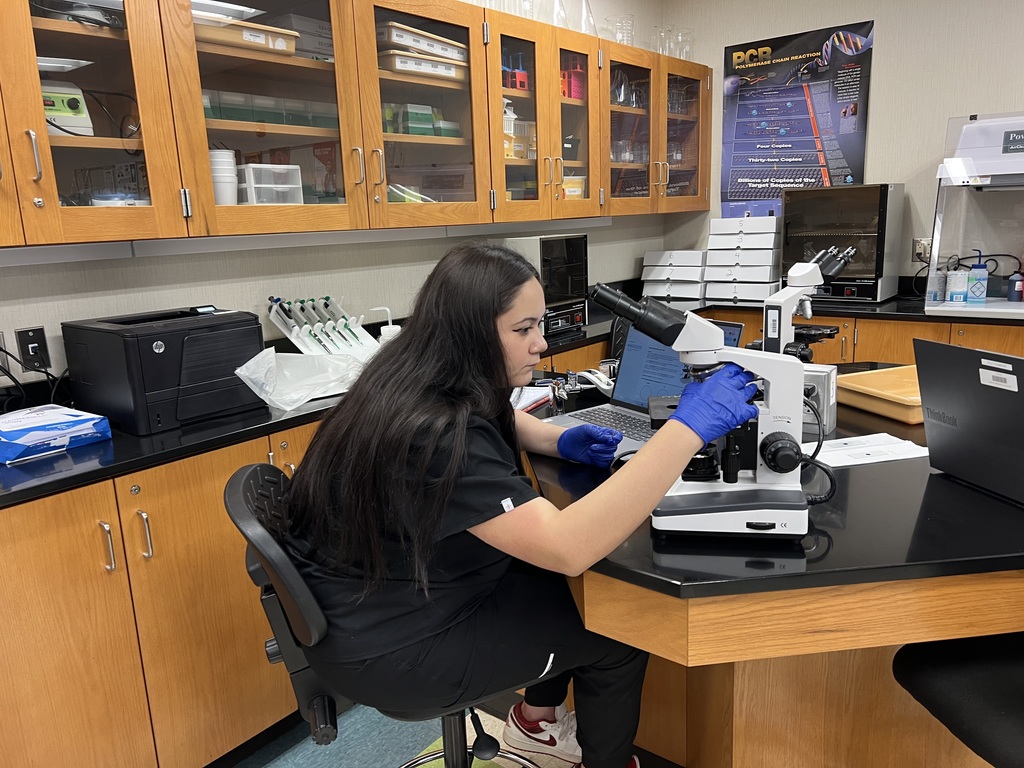 Cheek and skin cells lab