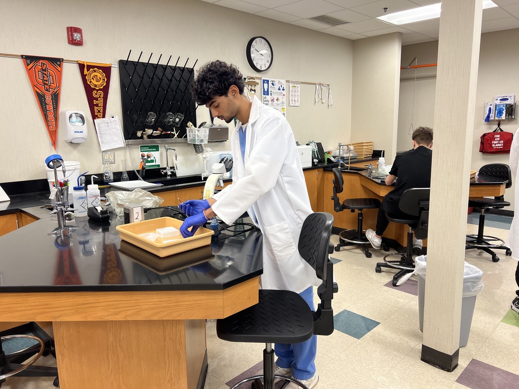 Cheek and skin cells lab