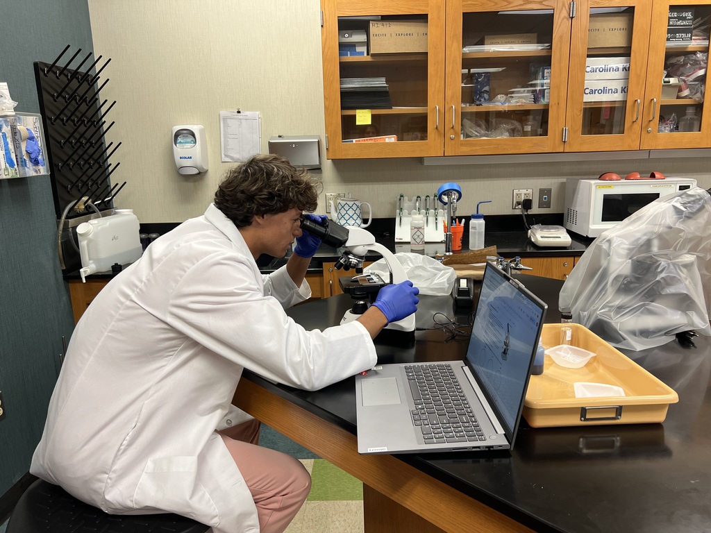 Cheek and skin cells lab