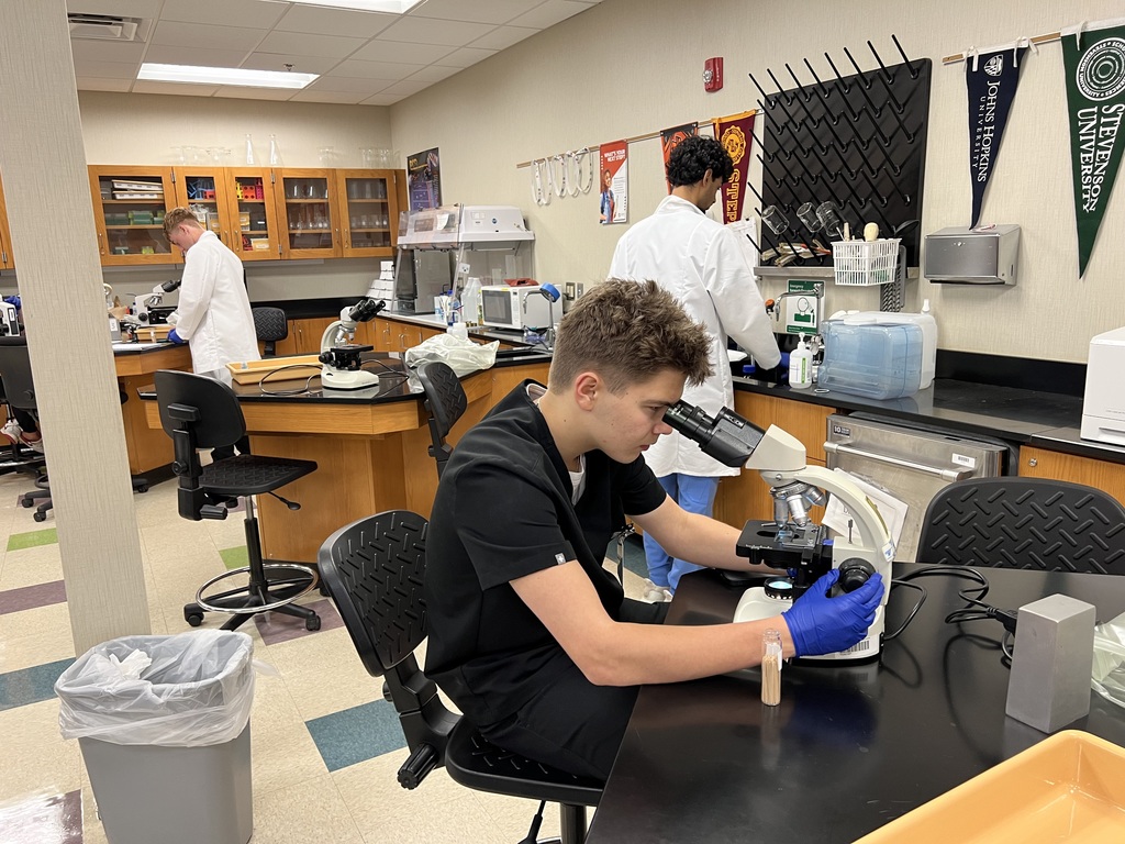 Cheek and skin cells lab