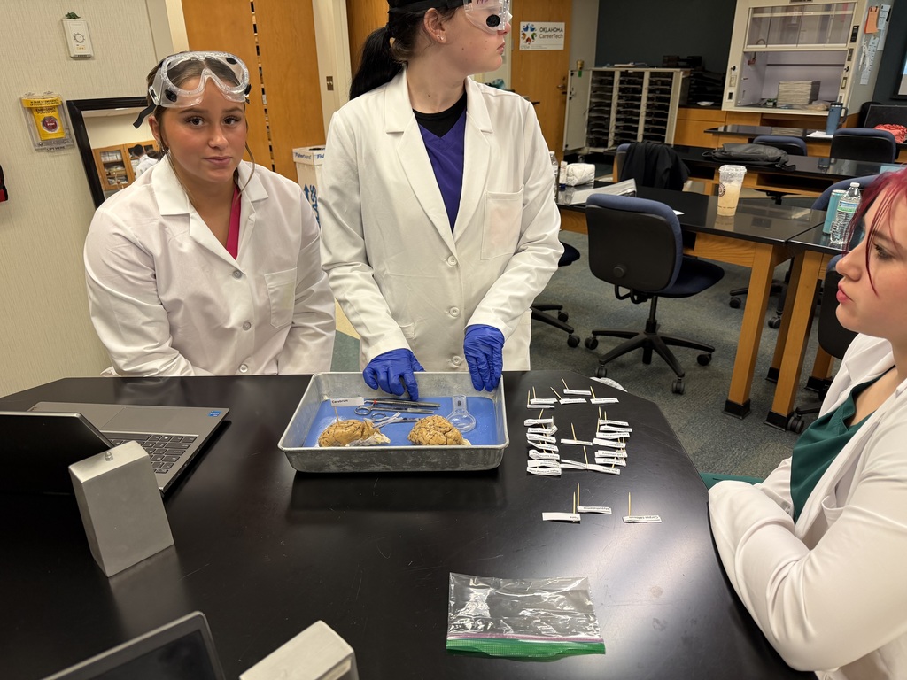 Brain Dissection in Biomedical Science Academy-AM