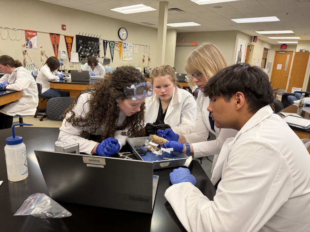 Brain Dissection in Biomedical Science Academy-PM