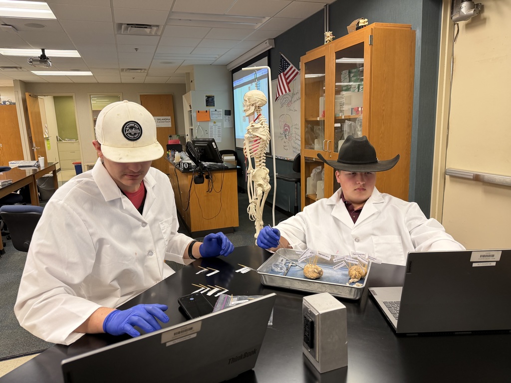 Brain Dissection in Biomedical Science Academy-PM