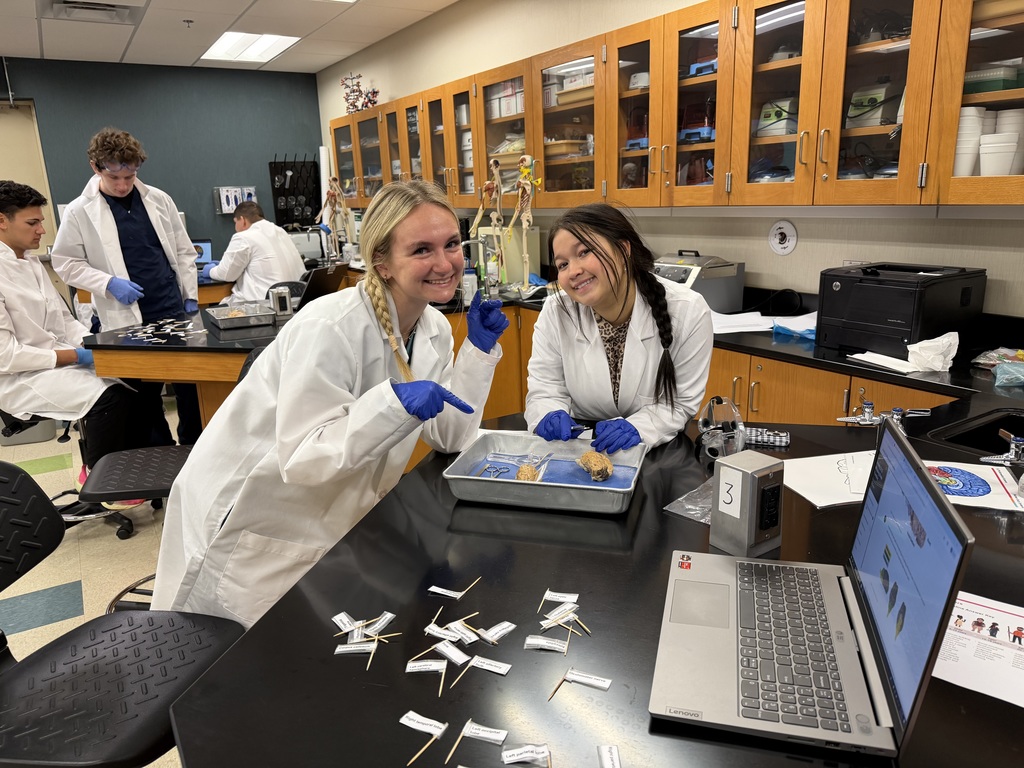 Brain Dissection in Biomedical Science Academy-AM