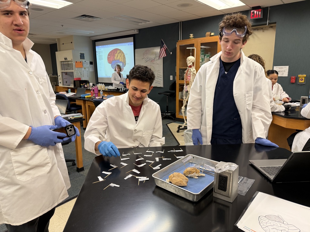 Brain Dissection in Biomedical Science Academy-AM