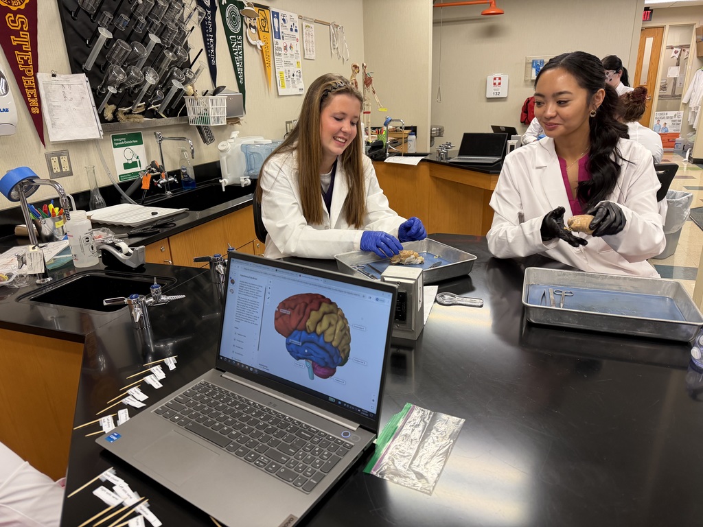 Brain Dissection in Biomedical Science Academy-AM